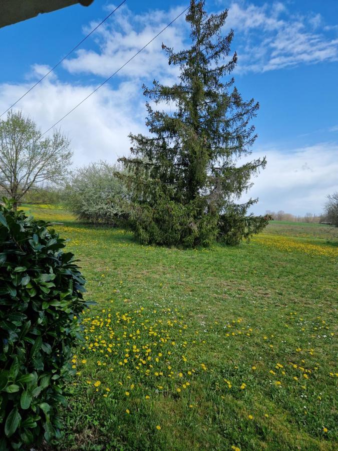Maison Cassin47 Lavergne  Bagian luar foto